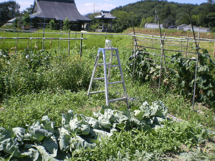 htmikan-20200429-153153.png htmikan-20200429-153153.png